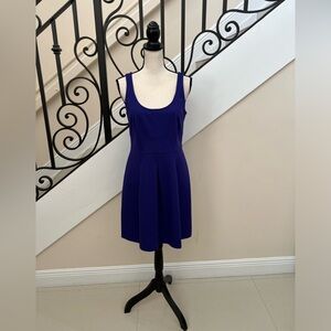 Anne Taylor - LOFT Skater skirt dress!